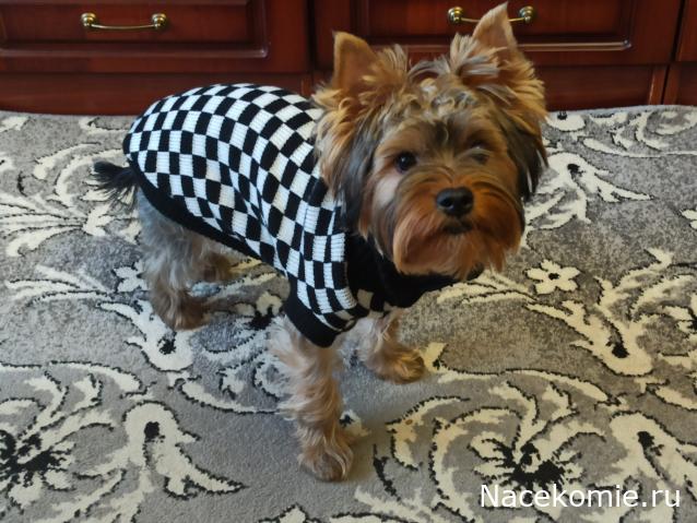 "Живой уголок"