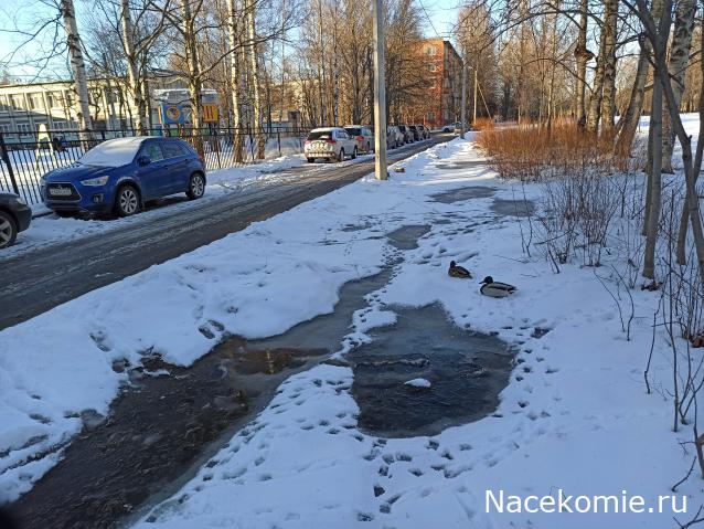 "Живой уголок"