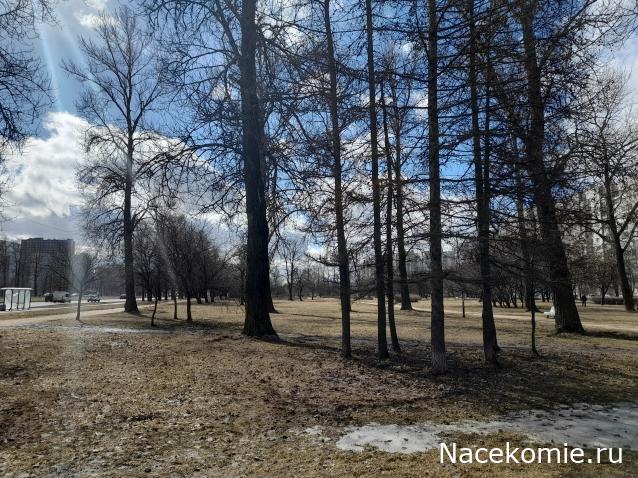 "Живой уголок"