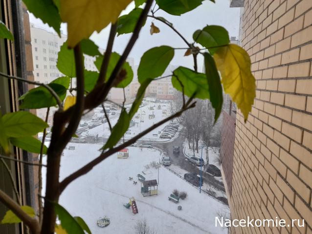 "Живой уголок"