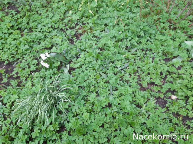 "Живой уголок"