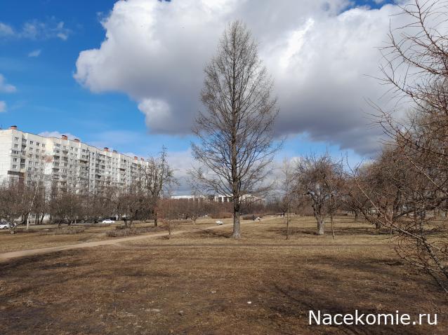 "Живой уголок"