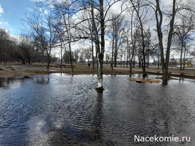 "Живой уголок"