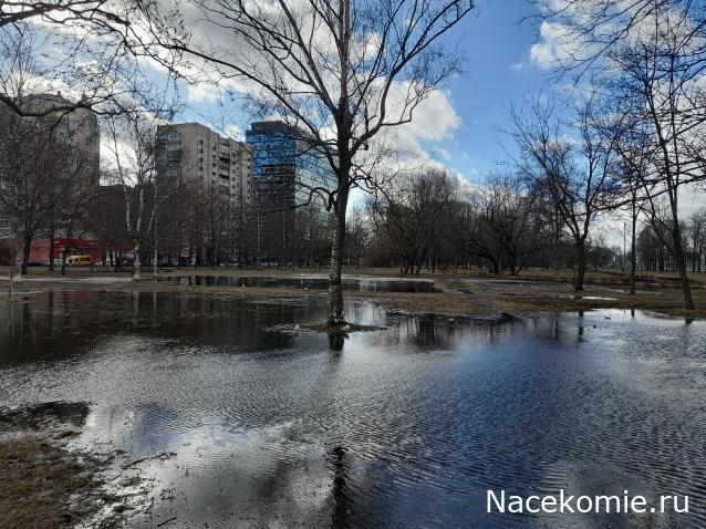 "Живой уголок"