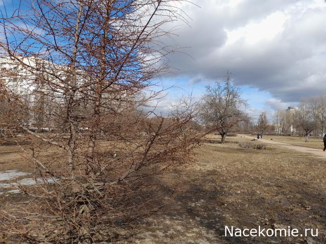 "Живой уголок"