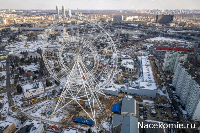 Околоавтобусная болталка