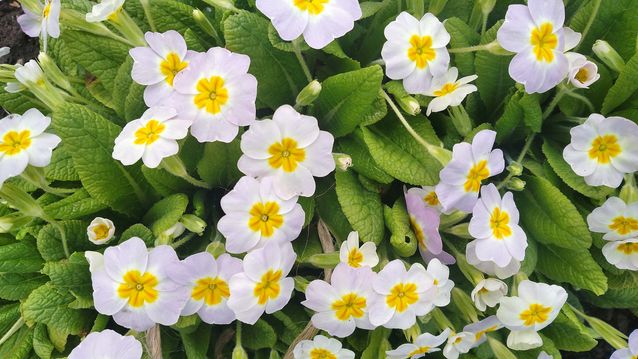 "Живой уголок"