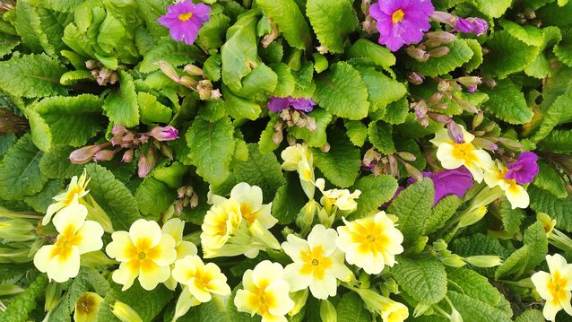 "Живой уголок"