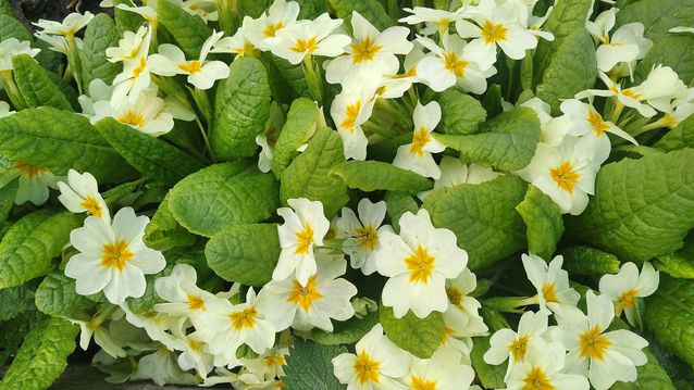 "Живой уголок"