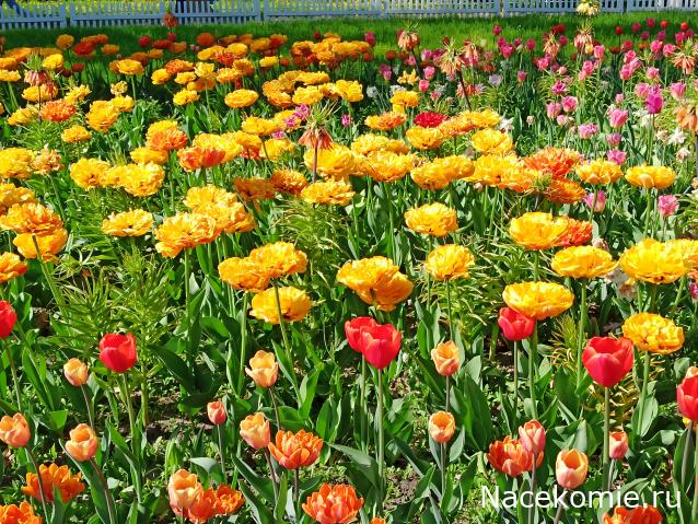 "Живой уголок"