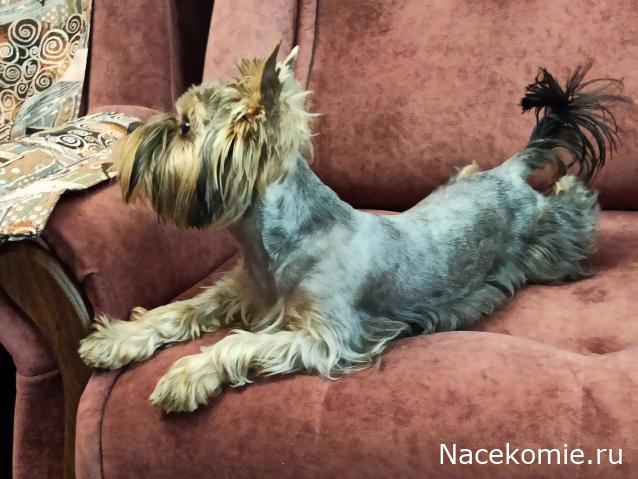 "Живой уголок"