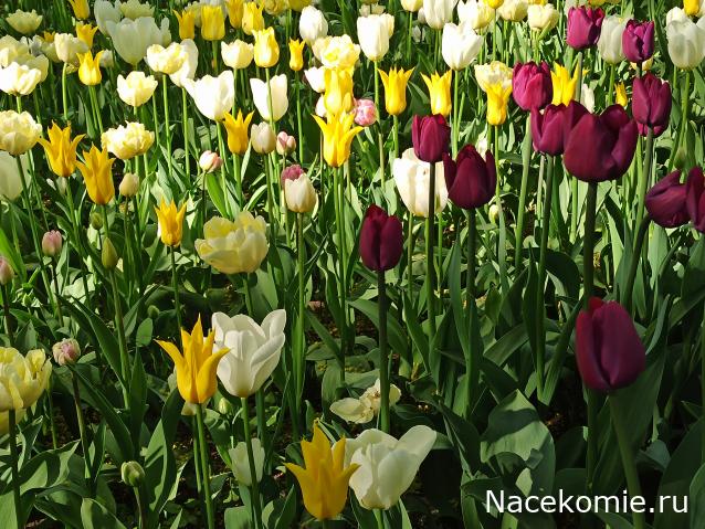 "Живой уголок"