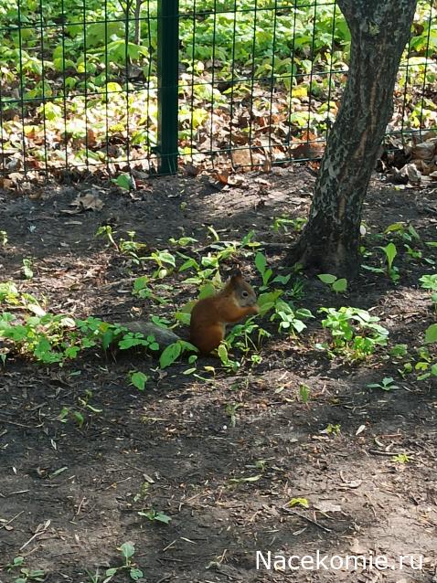 "Живой уголок"