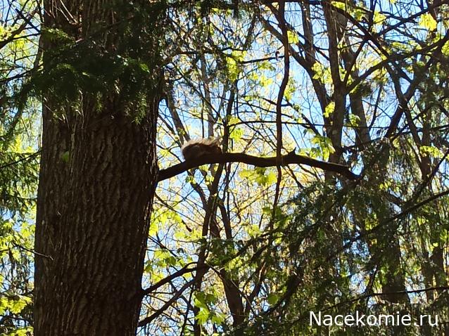 "Живой уголок"