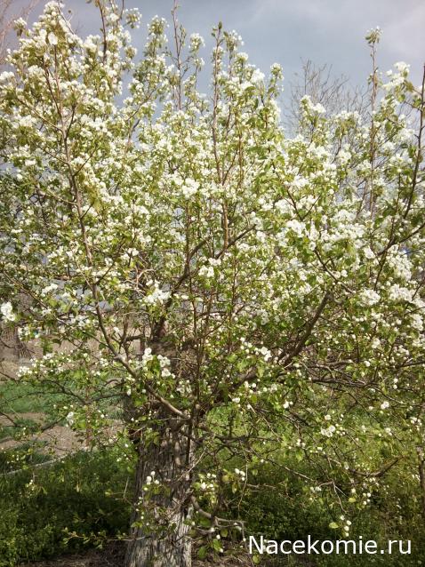 "Живой уголок"