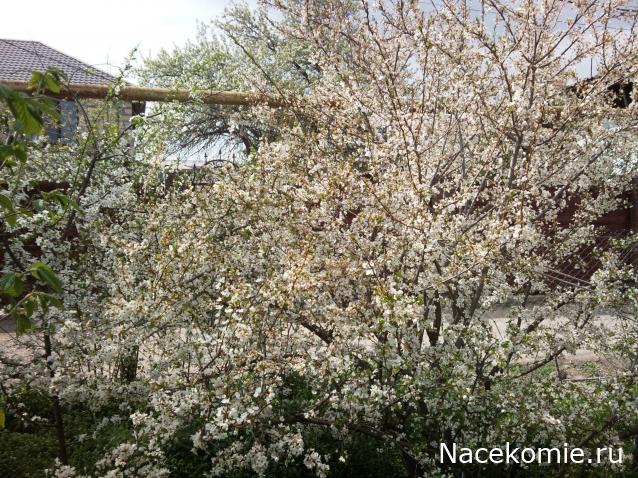 "Живой уголок"