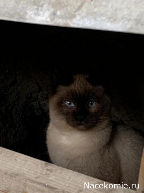 "Живой уголок"