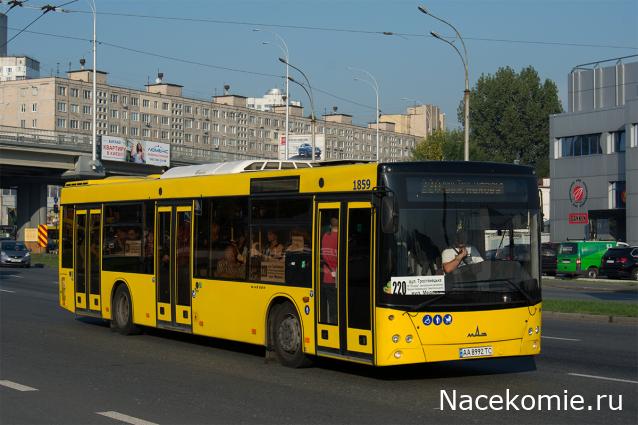 Наши Автобусы №42 - МАЗ-203