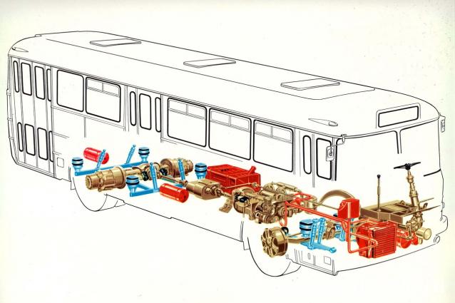 Наши Автобусы №38 - Икарус-556