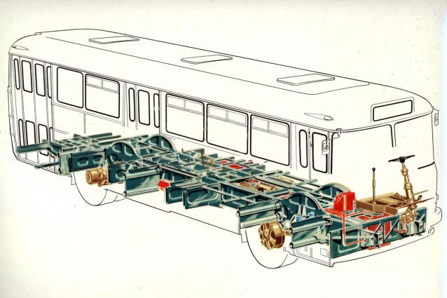 Наши Автобусы №38 - Икарус-556