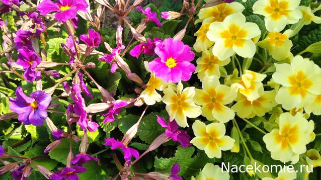 "Живой уголок"