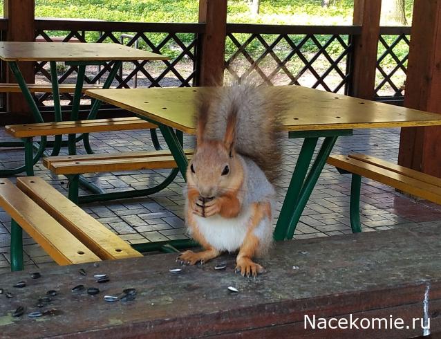 "Живой уголок"