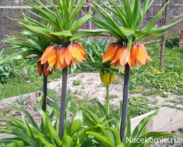 "Живой уголок"