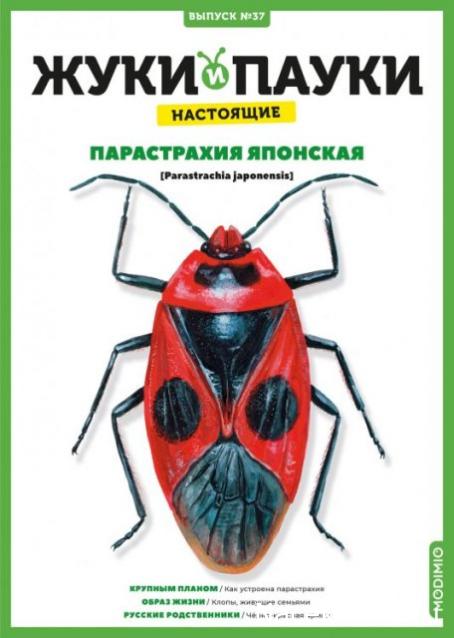 Жуки и Пауки №37 - Парастрахия японская