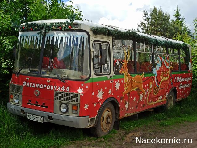 Околоавтобусная болталка