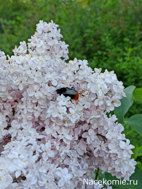 "Живой уголок"