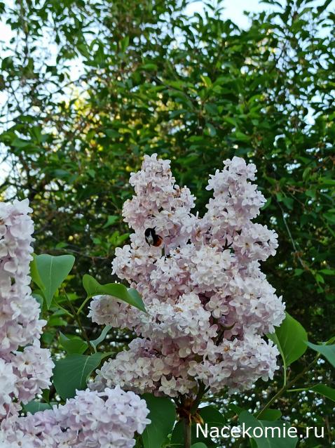 "Живой уголок"