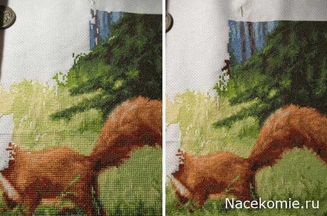 100 крестиков!