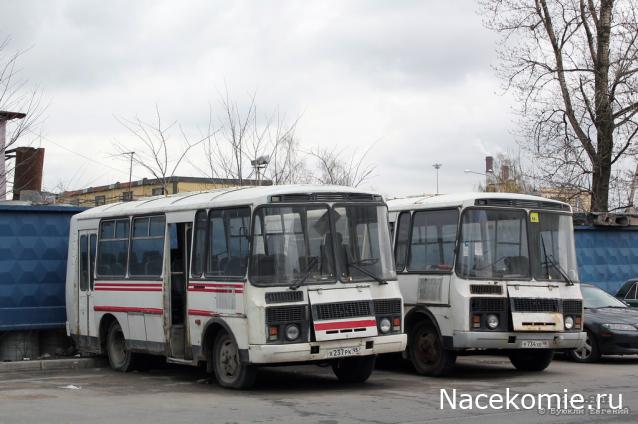 Наши Автобусы №43 - ПАЗ-32051