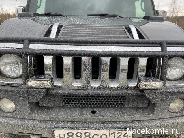 Автолегенды вживую