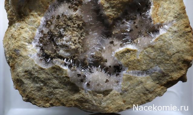 Коллекция минералов GiovannaM