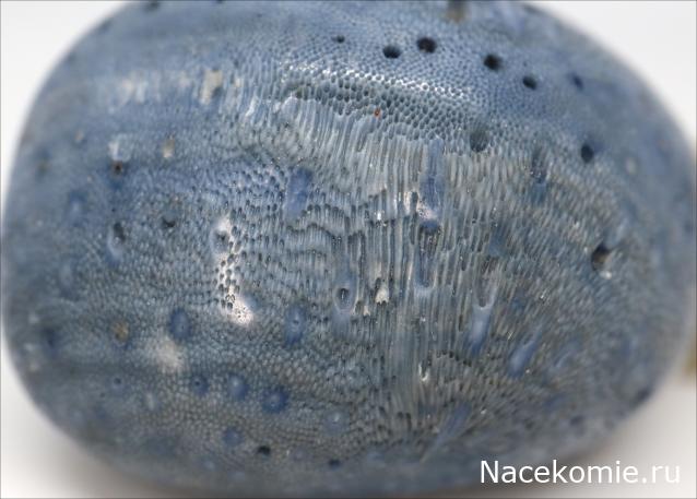 Коллекция минералов GiovannaM