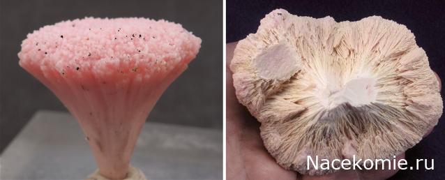 Коллекция минералов GiovannaM