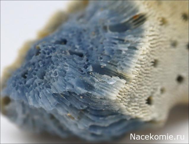 Коллекция минералов GiovannaM