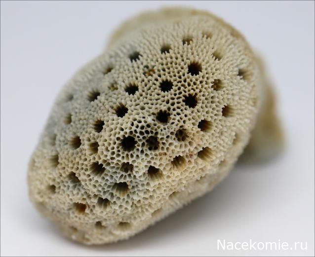 Коллекция минералов GiovannaM