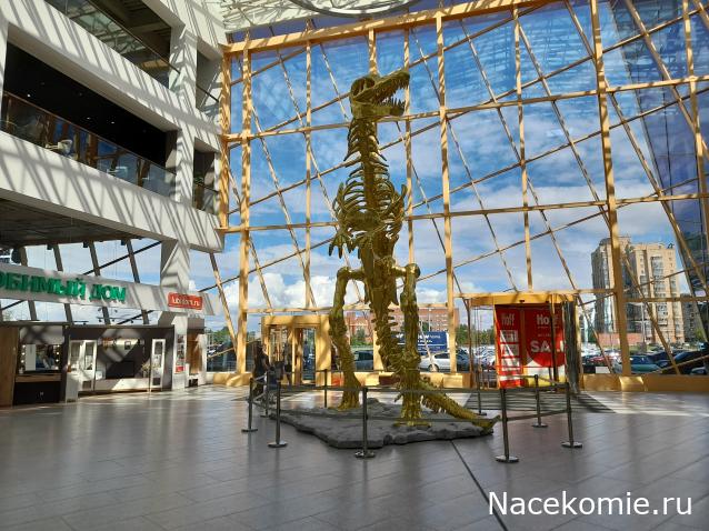 "Живой уголок"