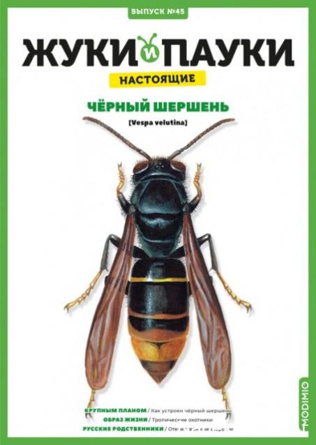 Жуки и Пауки №45 - Чёрный шершень