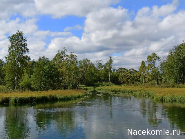 Мой любимый город или дорогие сердцу места