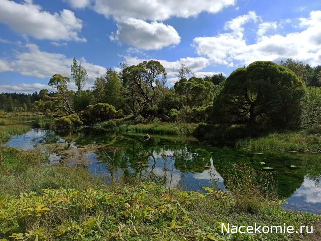 Мой любимый город или дорогие сердцу места