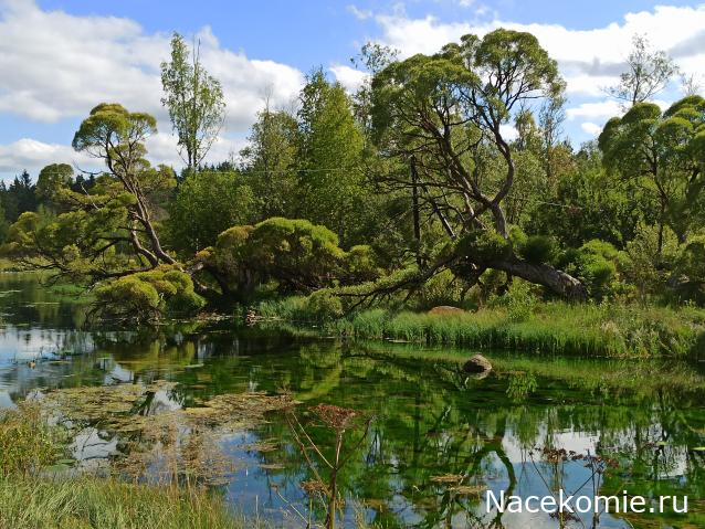 Мой любимый город или дорогие сердцу места