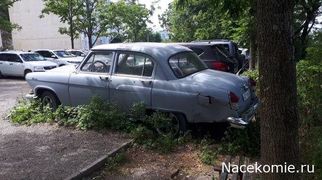 Автолегенды вживую