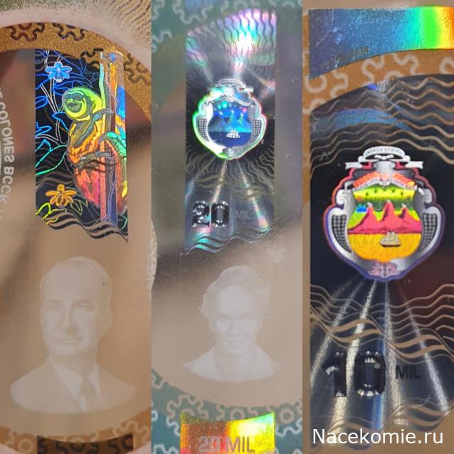 Коллекция alexenamel
