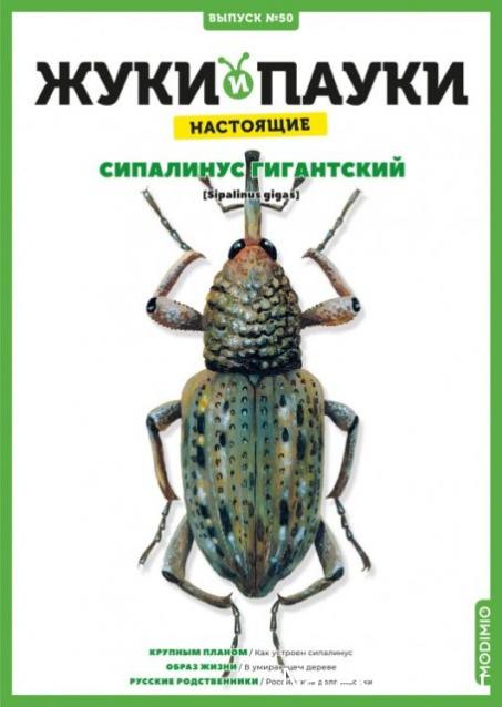 Жуки и Пауки - График выхода и обсуждение