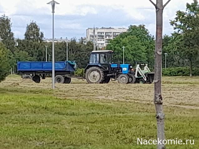 Автолегенды вживую