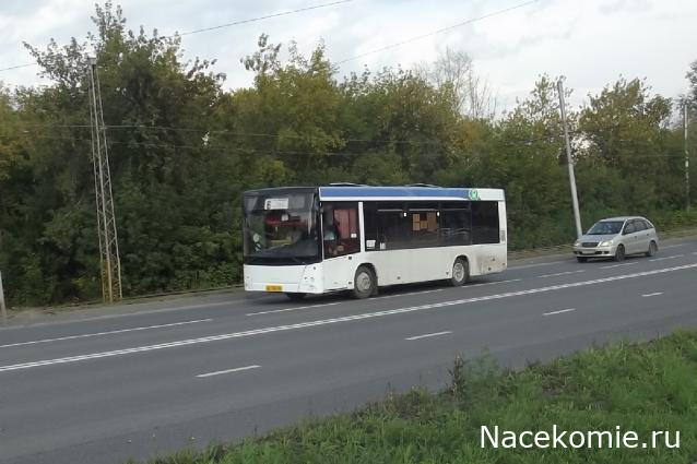 Автолегенды вживую