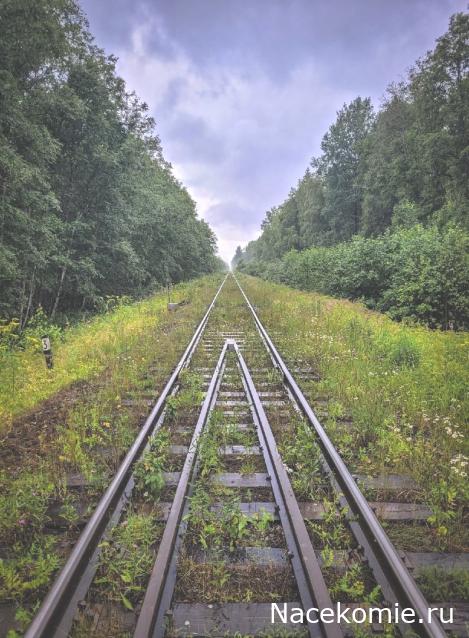 Железная Дорога в Миниатюре - Болталка